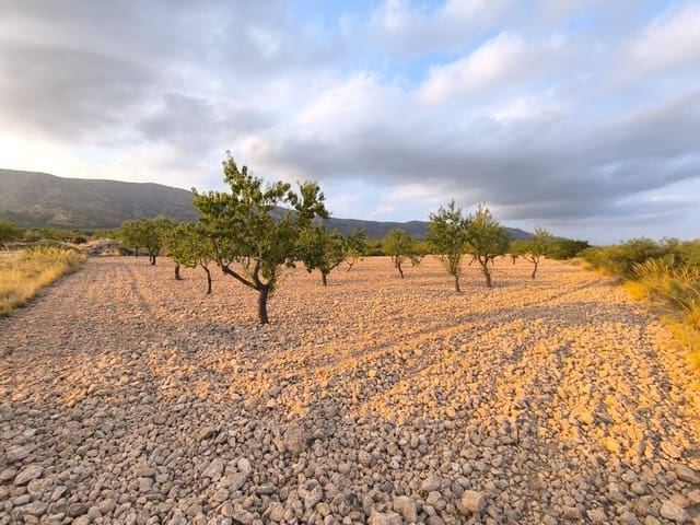 Grunde uden byggetilladelser til salg i Pinoso - € 18.000 (Ref: 10034807)