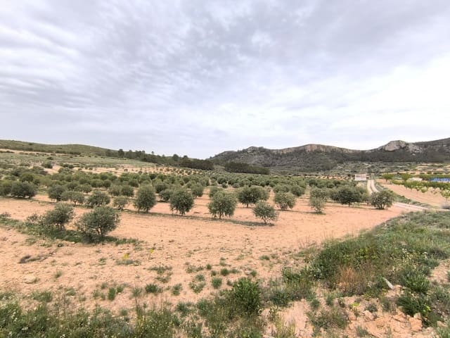 Grond te koop in Jumilla - € 39.990 (Ref: 10039132)
