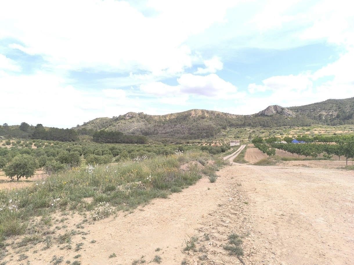 Terreno Não Urbanizado para venda em Jumilla - 39 990 € (Ref: 10039132)