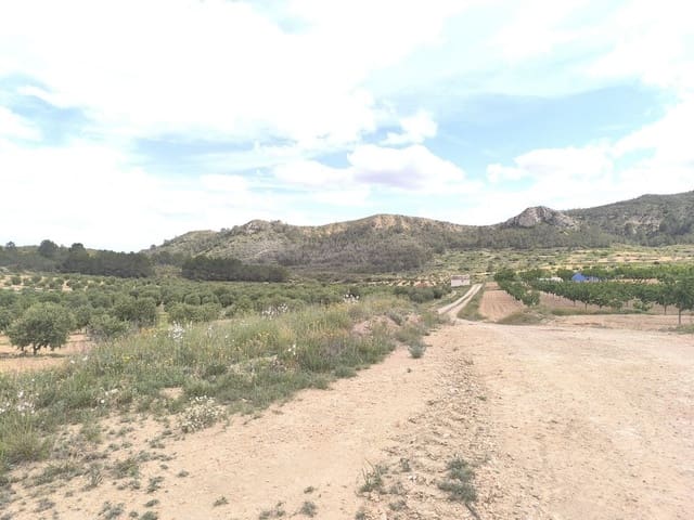 Terreno Não Urbanizado para venda em Jumilla - 39 990 € (Ref: 10039132)