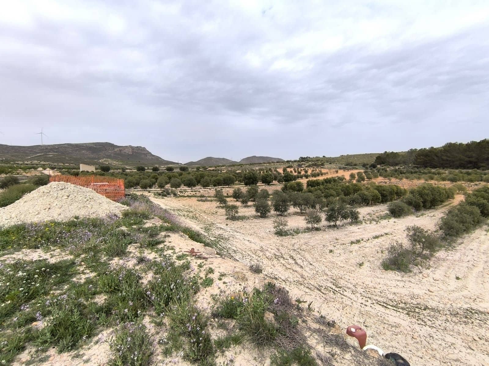 Terreno Não Urbanizado para venda em Jumilla - 39 990 € (Ref: 10039132)