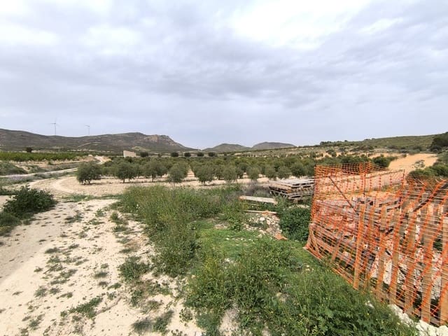 Terreno Não Urbanizado para venda em Jumilla - 39 990 € (Ref: 10039132)