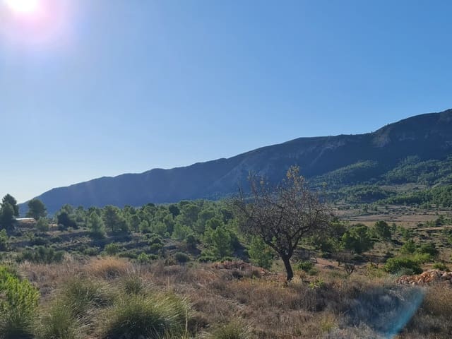 Terre non Aménagée à vendre à La Romana - 40 995 € (Ref: 10041969)