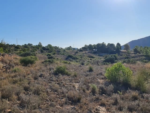 Terre non Aménagée à vendre à La Romana - 40 995 € (Ref: 10041969)