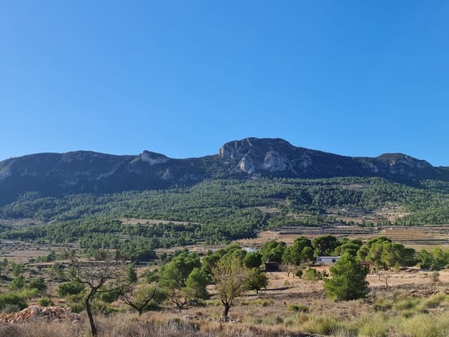 Terre non Aménagée à vendre à La Romana - 40 995 € (Ref: 10041969)