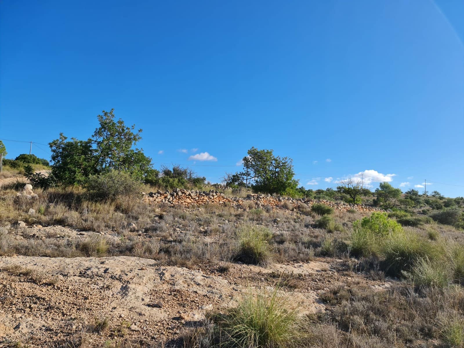 Terre non Aménagée à vendre à La Romana - 40 995 € (Ref: 10041969)