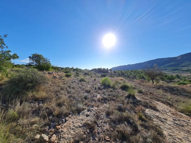 Terre non Aménagée à vendre à La Romana - 40 995 € (Ref: 10041969)