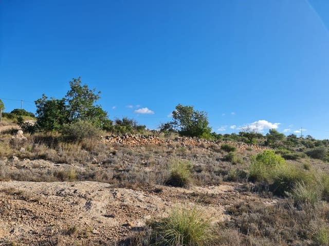 Terre non Aménagée à vendre à La Romana - 40 995 € (Ref: 10041969)