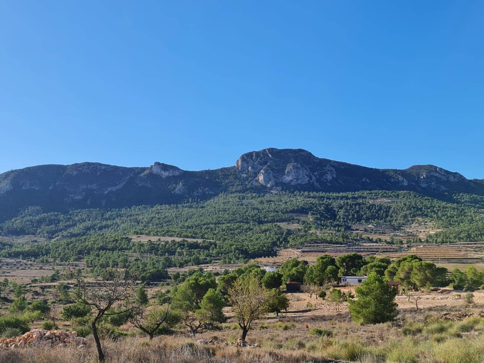 Ubebygd land til salgs i La Romana - € 40 995 (Ref: 10041969)
