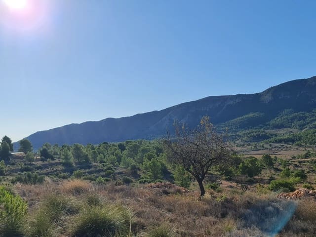 Mark till salu i La Romana - 40 995 € (Ref: 10041969)