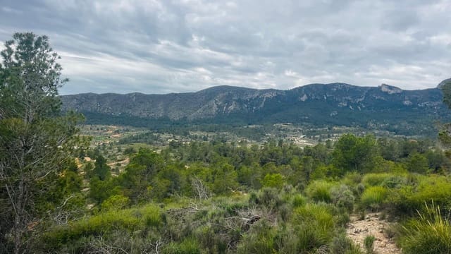 Landgrundstück zu verkaufen in La Romana - 28.000 € (Ref: 10048443)