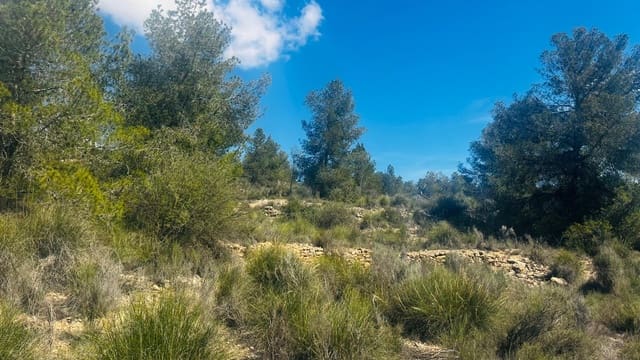Landgrundstück zu verkaufen in La Romana - 28.000 € (Ref: 10048443)