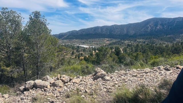 Landgrundstück zu verkaufen in La Romana - 28.000 € (Ref: 10048443)