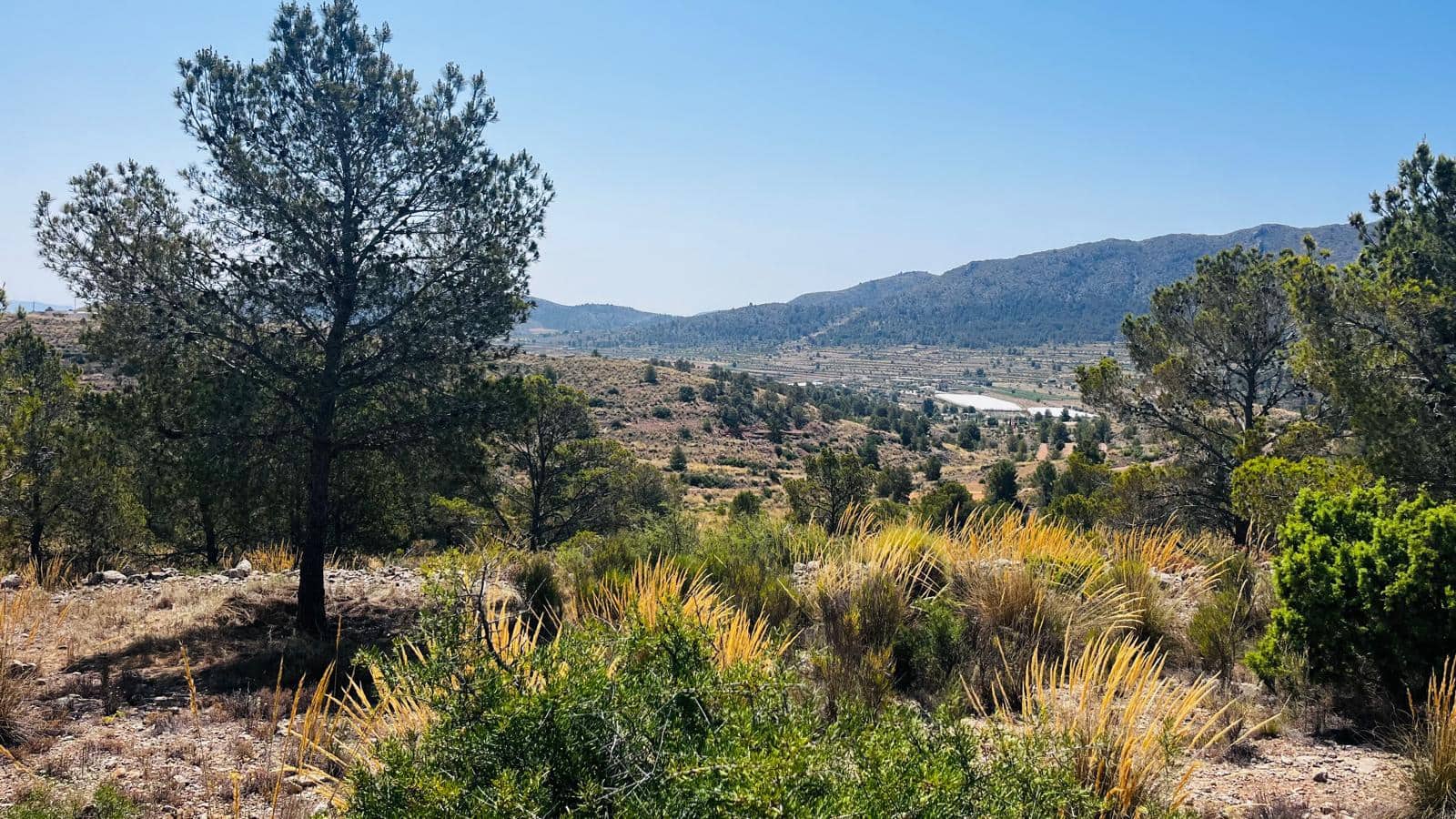 Undeveloped Land for sale in La Romana - € 28,000 (Ref: 10048443)
