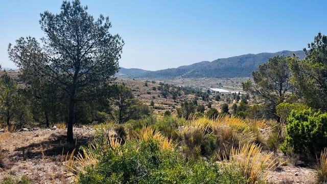 Landgrundstück zu verkaufen in La Romana - 28.000 € (Ref: 10048443)