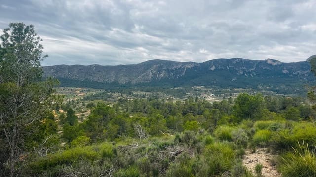 Ubebygd land til salgs i La Romana - € 28 000 (Ref: 10048443)