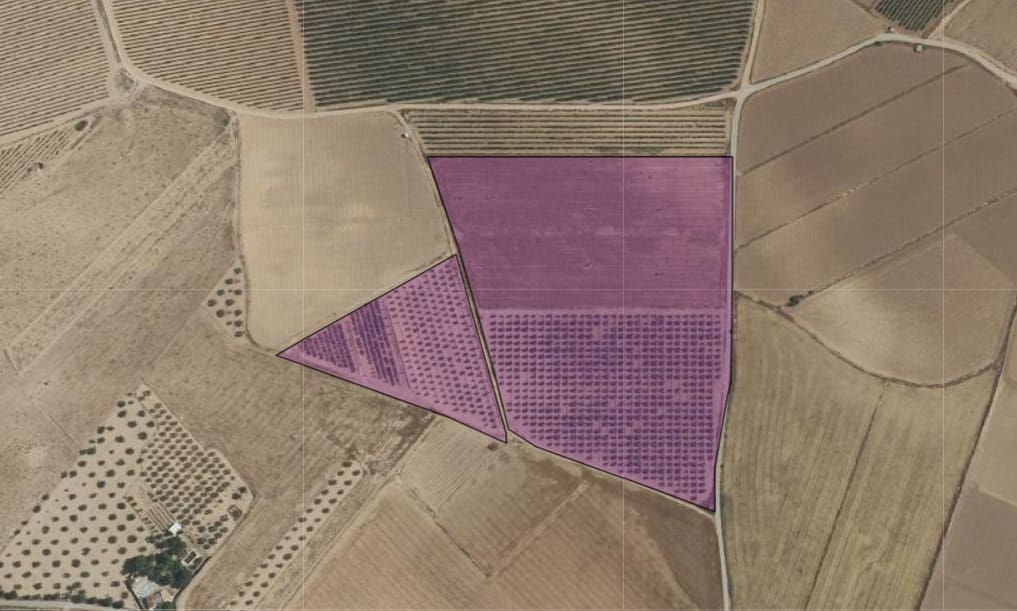 Undeveloped Land for sale in Yecla - € 109,000 (Ref: 10049855)