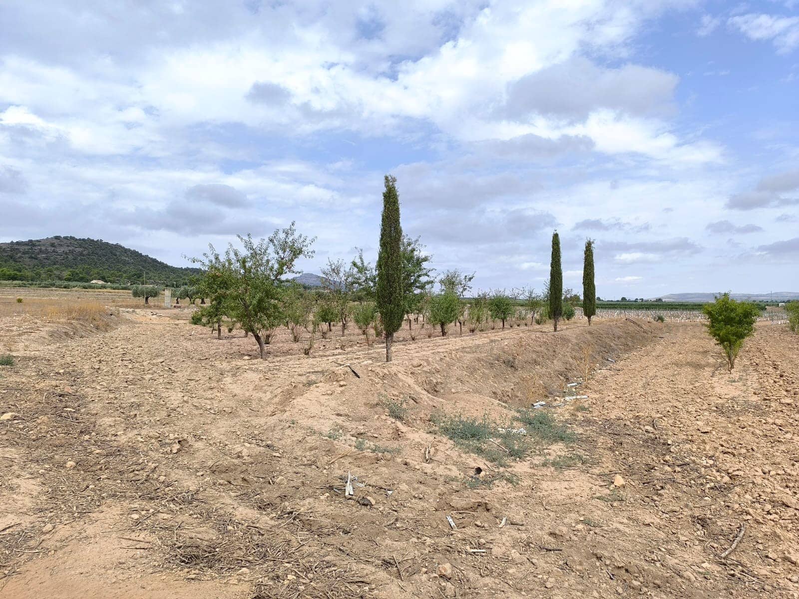 Undeveloped Land for sale in Yecla - € 109,000 (Ref: 10049855)