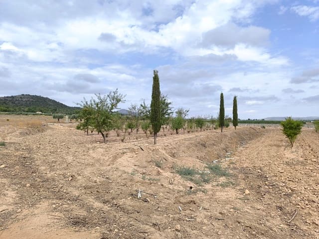 Undeveloped Land for sale in Yecla - € 109,000 (Ref: 10049855)
