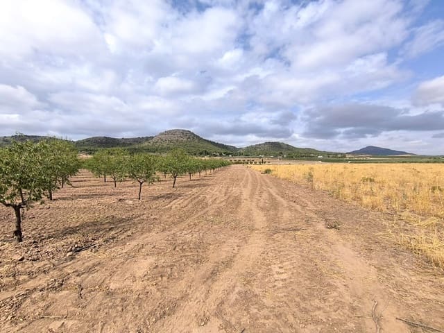 Undeveloped Land for sale in Yecla - € 109,000 (Ref: 10049855)