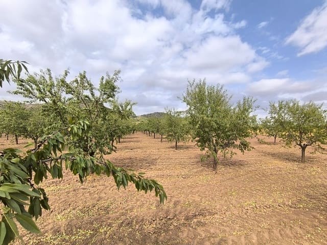 Undeveloped Land for sale in Yecla - € 109,000 (Ref: 10049855)