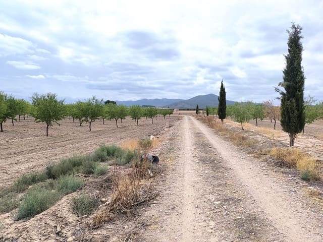 Undeveloped Land for sale in Yecla - € 109,000 (Ref: 10049855)