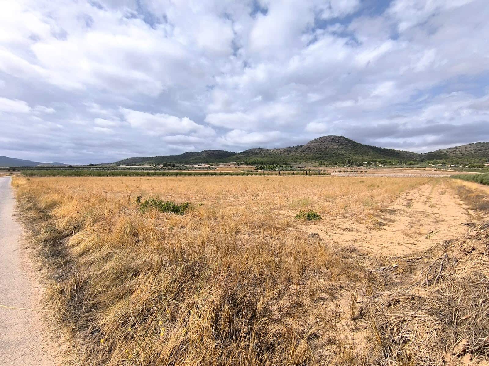 Undeveloped Land for sale in Yecla - € 109,000 (Ref: 10049855)