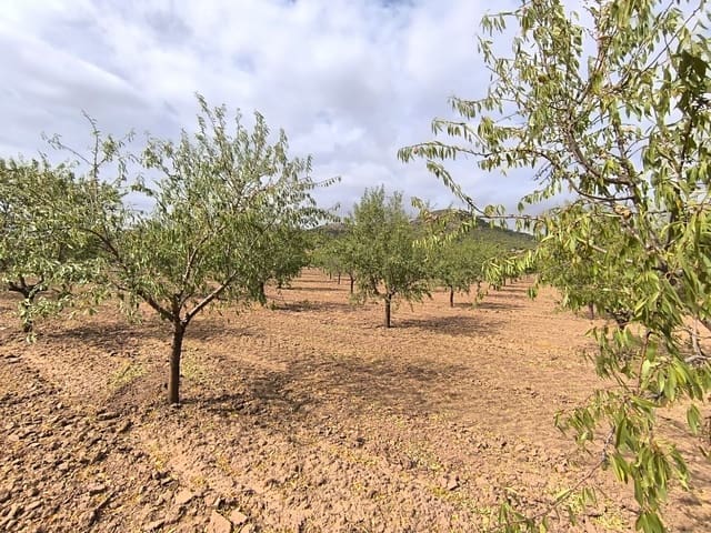 Undeveloped Land for sale in Yecla - € 109,000 (Ref: 10049855)