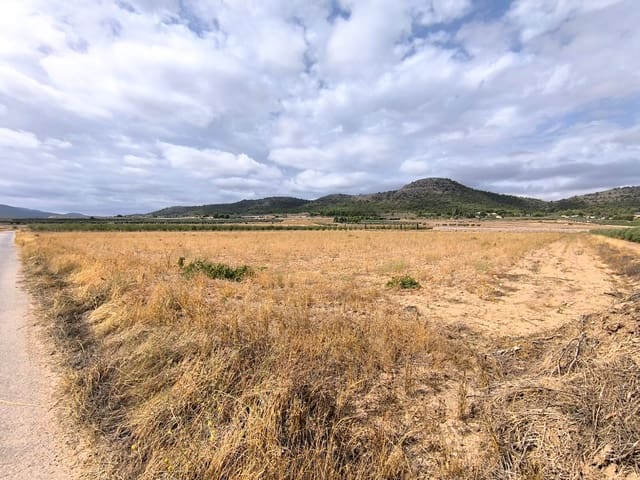 Undeveloped Land for sale in Yecla - € 109,000 (Ref: 10049855)