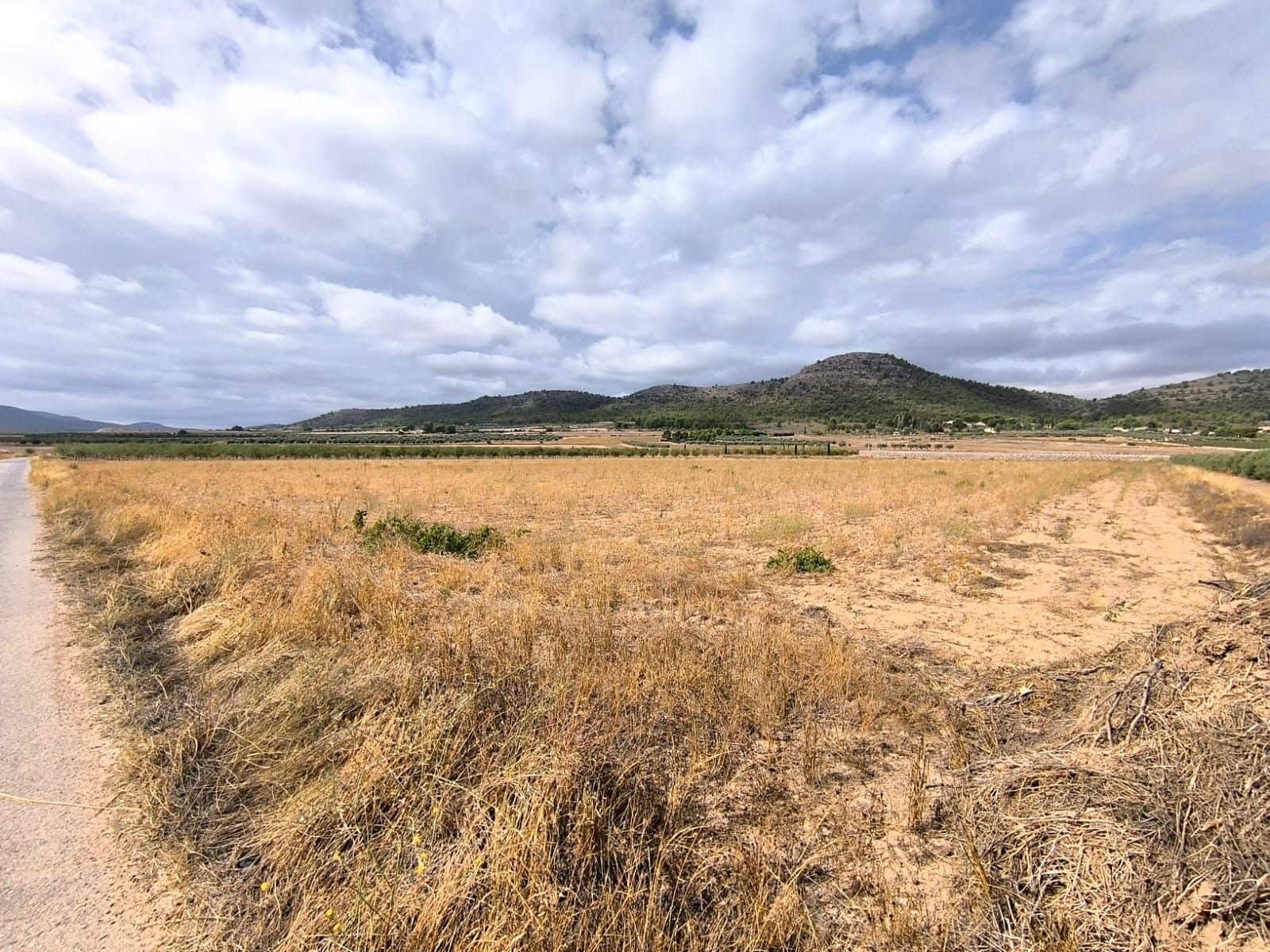 Undeveloped Land for sale in Yecla - € 109,000 (Ref: 10049855)
