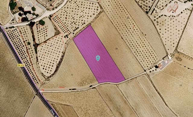 Grunde uden byggetilladelser til salg i Pinoso - € 48.000 (Ref: 10060932)