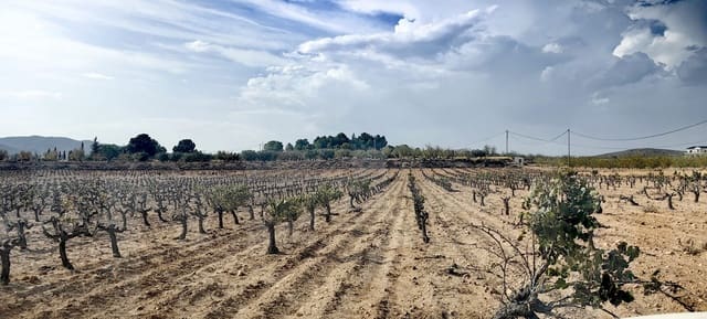 Grunde uden byggetilladelser til salg i Pinoso - € 48.000 (Ref: 10060932)