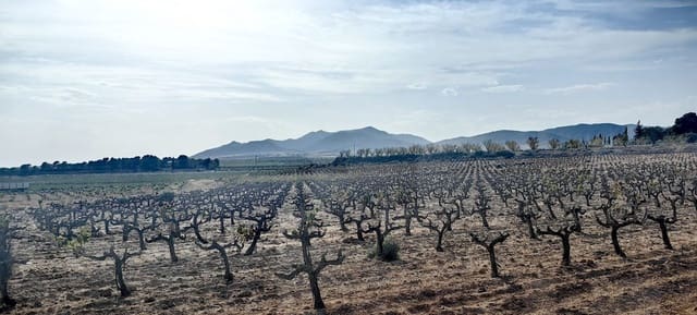 Mark till salu i Pinoso - 48 000 € (Ref: 10060932)