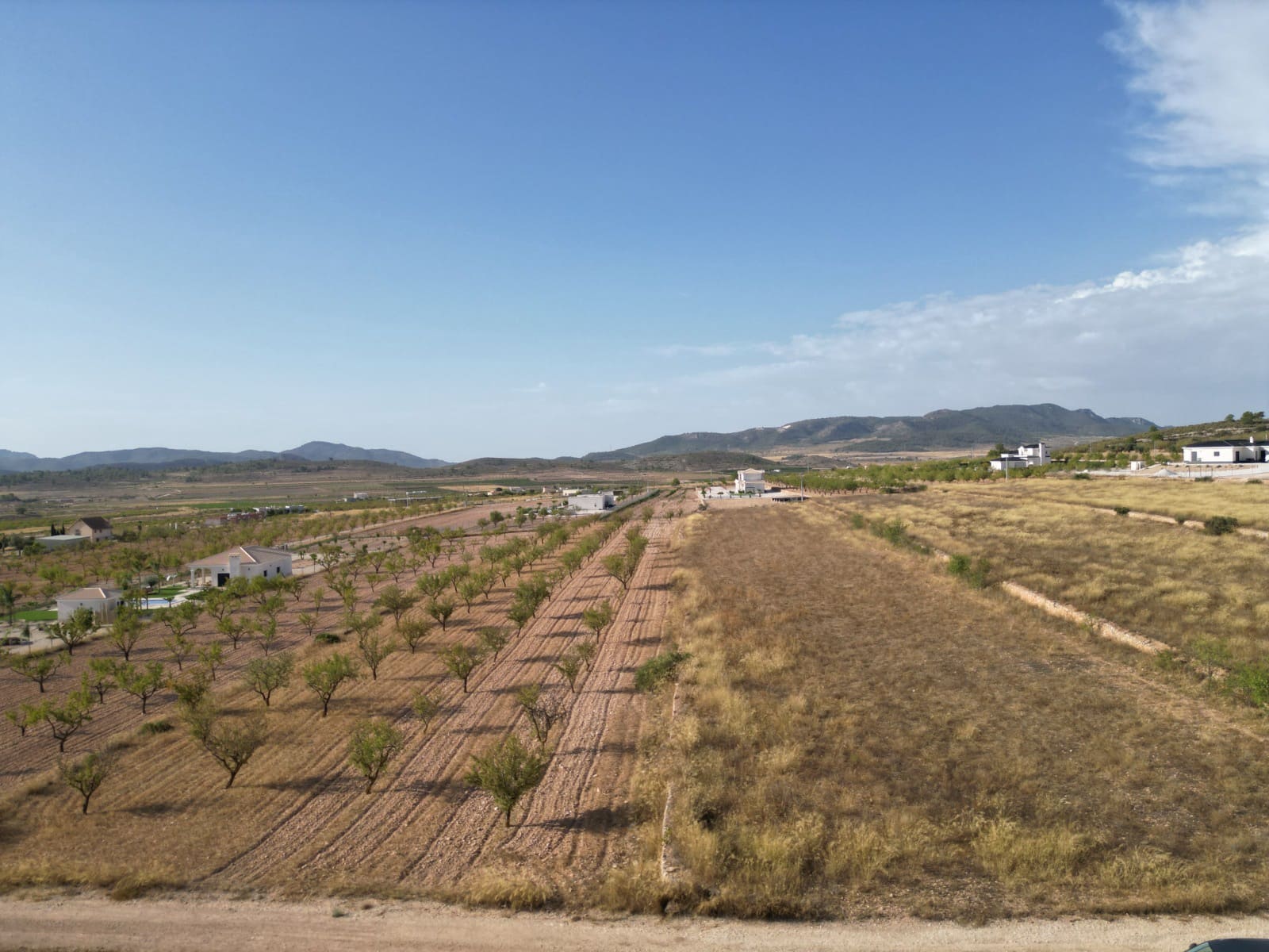 Landgrundstück zu verkaufen in Pinoso - 69.000 € (Ref: 10072792)