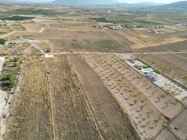 Landgrundstück zu verkaufen in Pinoso - 69.000 € (Ref: 10072792)
