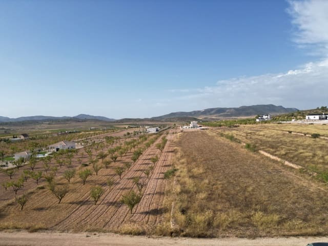 Landgrundstück zu verkaufen in Pinoso - 69.000 € (Ref: 10072792)