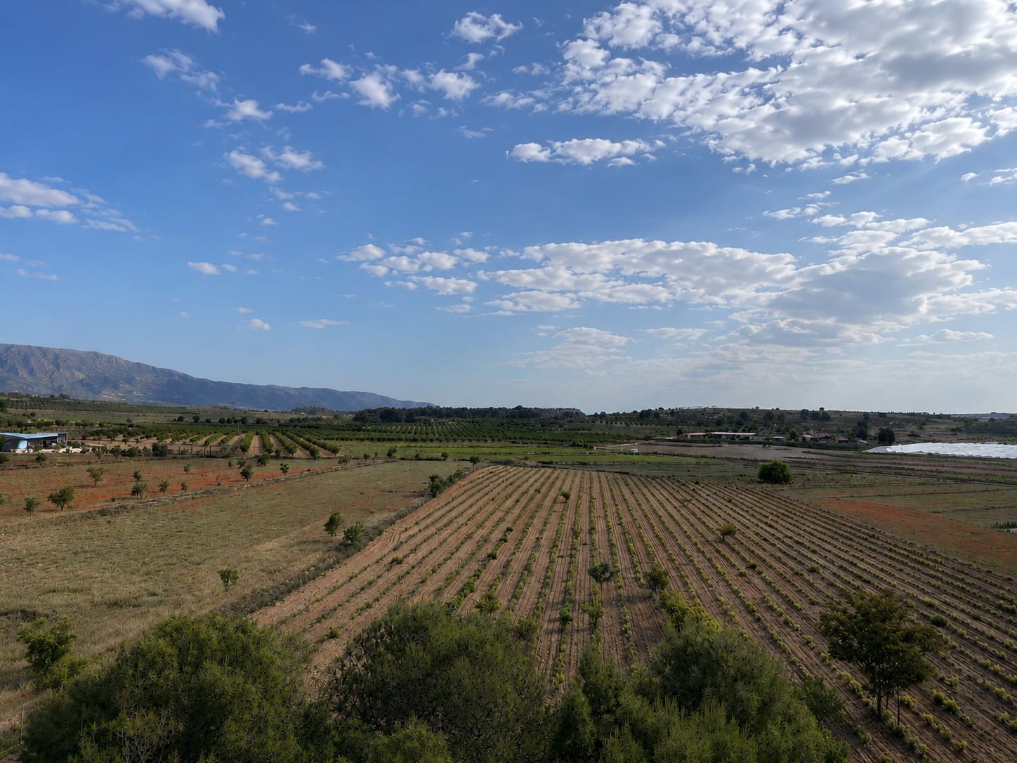 Terreno/Finca Rústica en Pinoso en venta - 160.000 € (Ref: 10072800)