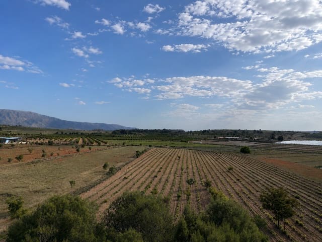 Terreno/Finca Rústica en Pinoso en venta - 160.000 € (Ref: 10072800)