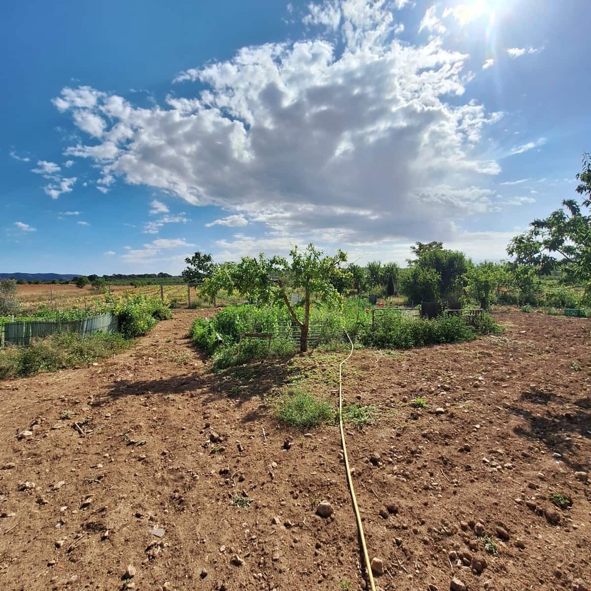 Terreno/Finca Rústica en Pinoso en venta - 160.000 € (Ref: 10072800)