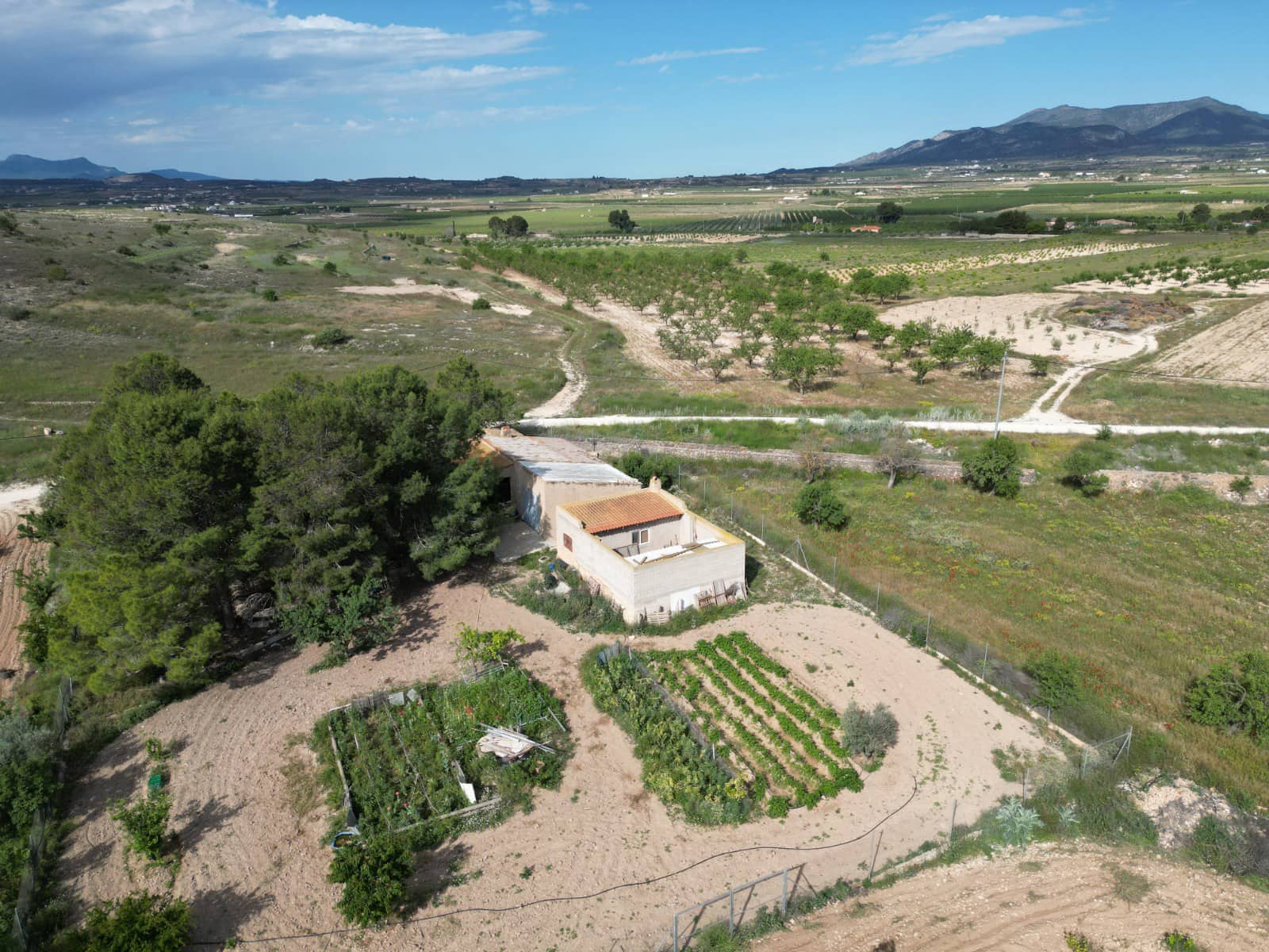 Terreno/Finca Rústica en Pinoso en venta - 160.000 € (Ref: 10072800)