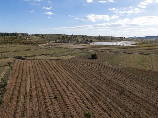 Terreno/Finca Rústica en Pinoso en venta - 160.000 € (Ref: 10072800)