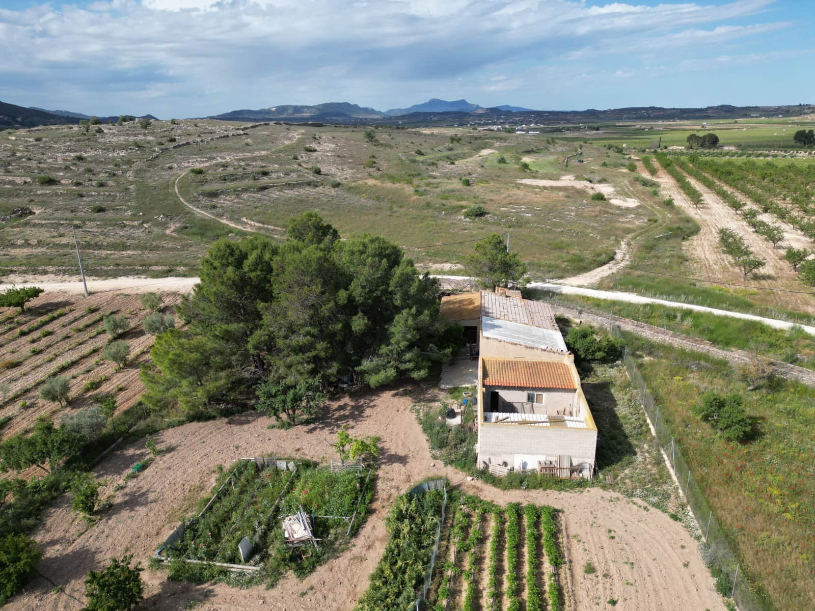 Terreno/Finca Rústica en Pinoso en venta - 160.000 € (Ref: 10072800)