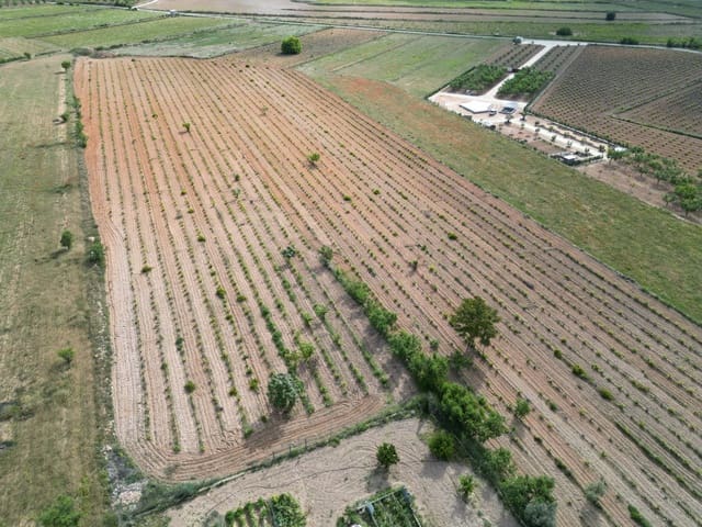 Terreno/Finca Rústica en Pinoso en venta - 160.000 € (Ref: 10072800)