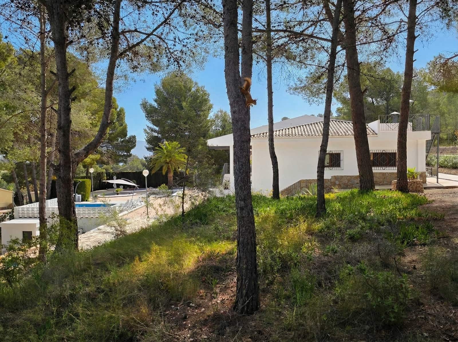 5 Zimmer Villa zu verkaufen in Monovar / Monover mit Pool Garage - 499.500 € (Ref: 10072809)