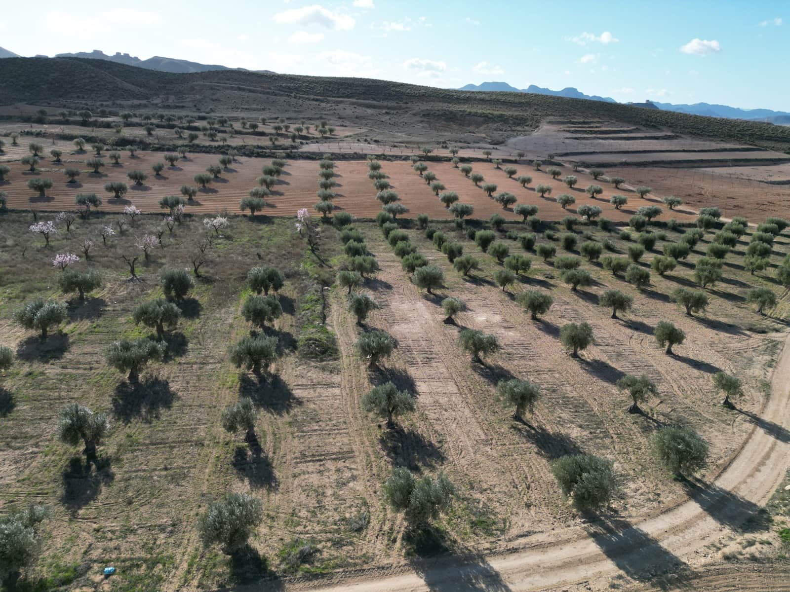 Terreno/Finca Rústica en La Alqueria en venta - 60.500 € (Ref: 10072815)