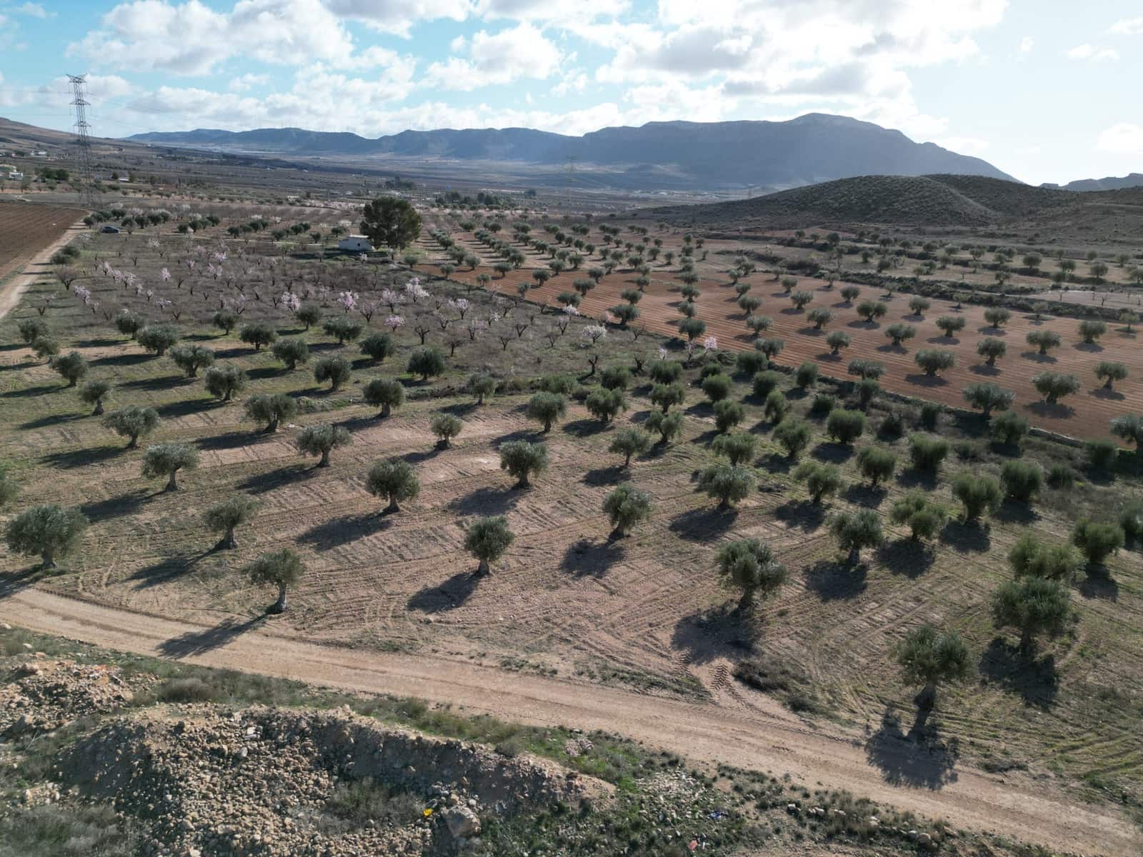 Terreno/Finca Rústica en La Alqueria en venta - 60.500 € (Ref: 10072815)