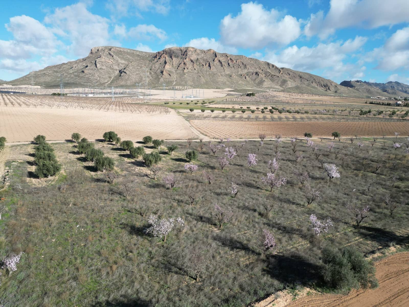 Terreno/Finca Rústica en La Alqueria en venta - 60.500 € (Ref: 10072815)