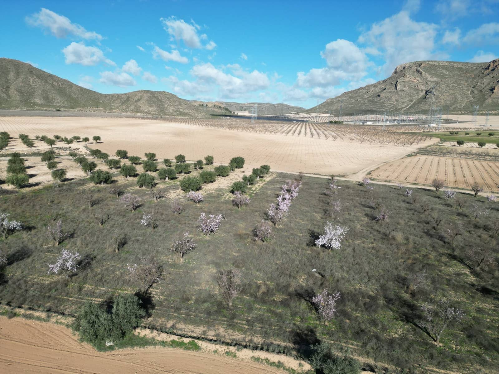 Terreno/Finca Rústica en La Alqueria en venta - 60.500 € (Ref: 10072815)