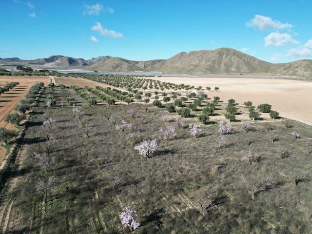 Terreno/Finca Rústica en La Alqueria, Jumilla en venta - 60.500 € (Ref: 10072815)