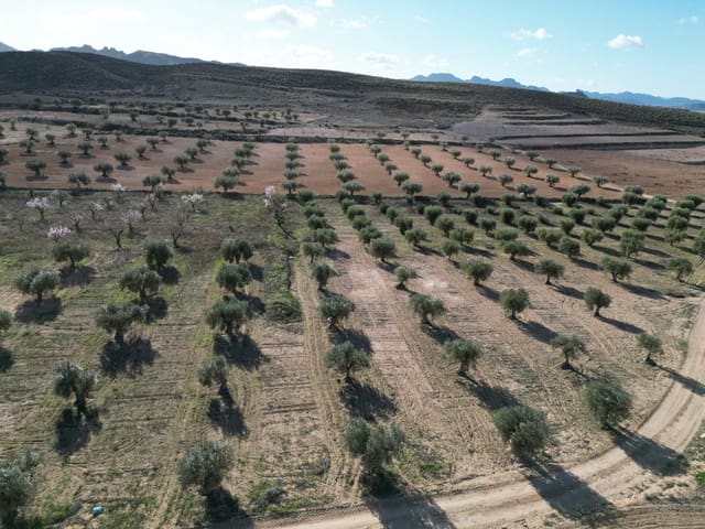 Terreno/Finca Rústica en La Alqueria, Jumilla en venta - 60.500 € (Ref: 10072815)